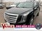 2020 Cadillac Escalade Platinum