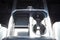 2018 Ford Super Duty F-350 DRW Pickup Platinum